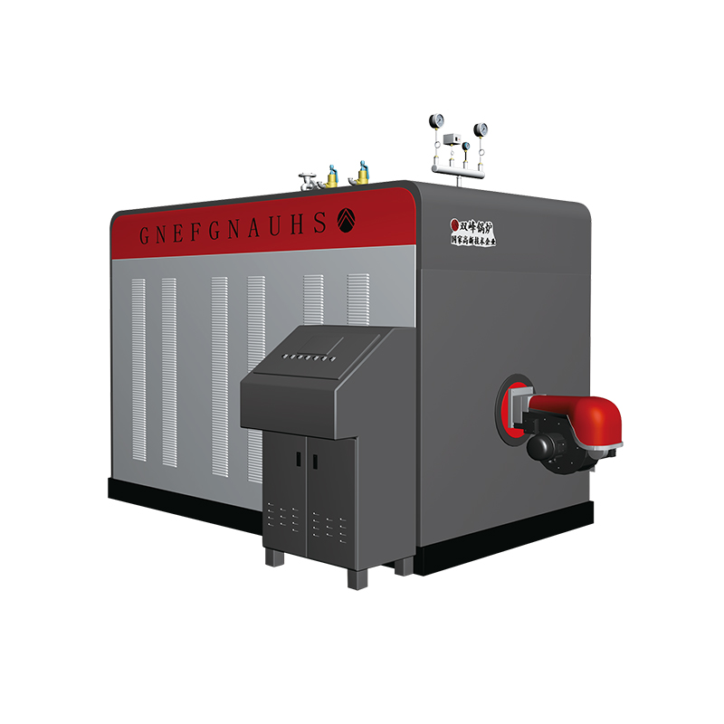 DZS Gas/Diesel Fired Steam Boiler