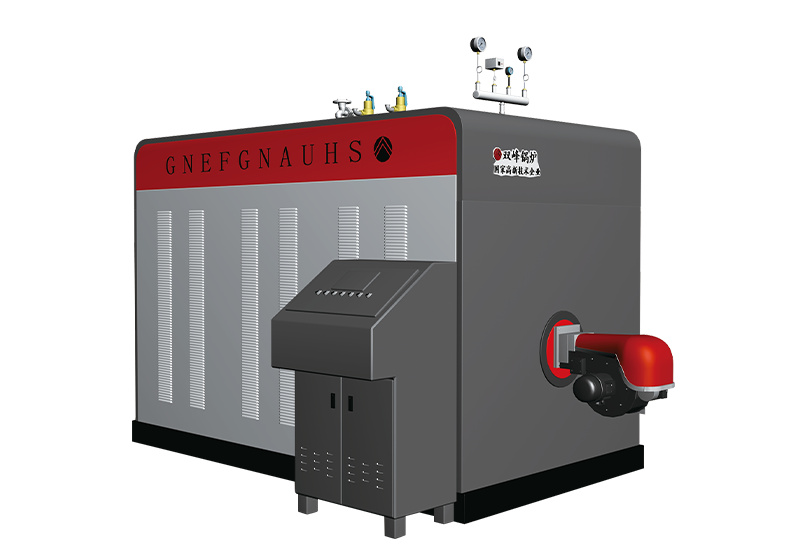 DZS Gas/Diesel Fired Steam Boiler