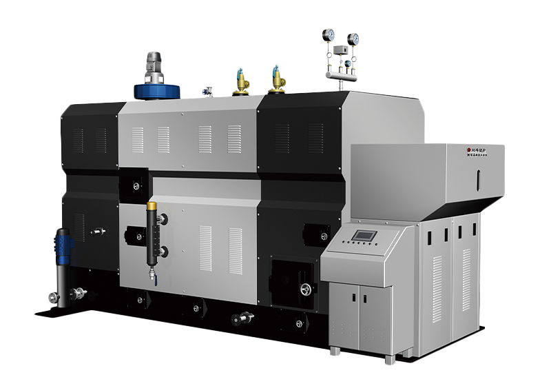 DZG Series Solid Fuel Biomass Coal Fired Steam Boiler